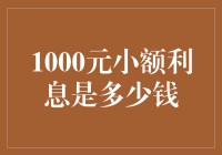 1000元小额利息是多少：你的月利率影响着你的钱袋子