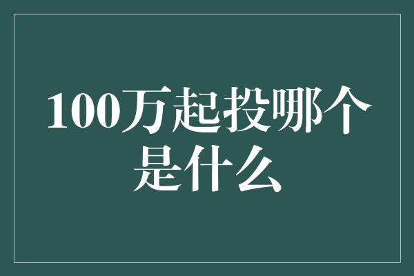 100万起投哪个是什么