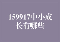 159917中小成长的多元路径：探索成长股的投资逻辑