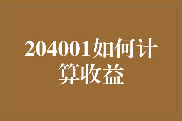 204001如何计算收益