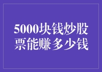 5000块钱炒股票能赚多少钱：探索炒股入门者的投资之路