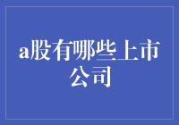 大盘里的明星企业，投资界的流量担当