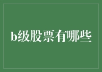 拾荒者的股市宝库：探索那些不起眼的B级股票