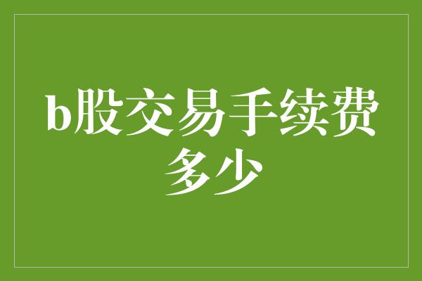 b股交易手续费多少