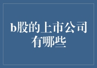 探秘B股市场：上市公司概览与投资指南