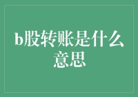 嘿，你听说过B股转账吗？这可是股市里的秘密武器！