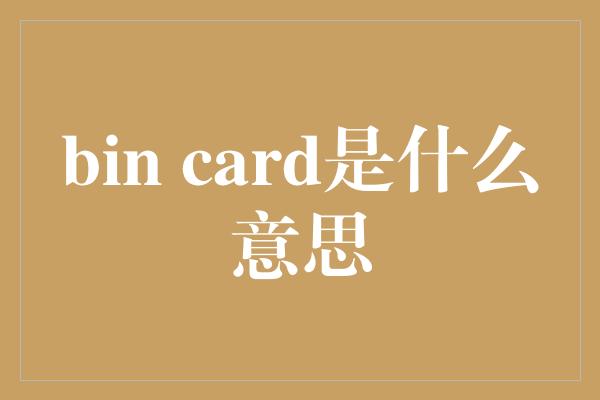 bin card是什么意思