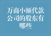 代款公司股东大揭秘：万商小额代款公司股东委员会的那些事儿