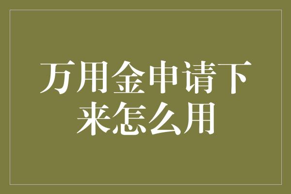 万用金申请下来怎么用