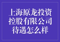 上海原龙投资控股有限公司待遇深度解析：从专业角度出发