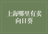 上海哪里有卖向日葵？向日葵的黑暗料理指南