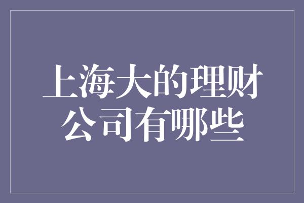 上海大的理财公司有哪些