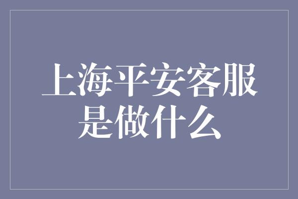 上海平安客服是做什么