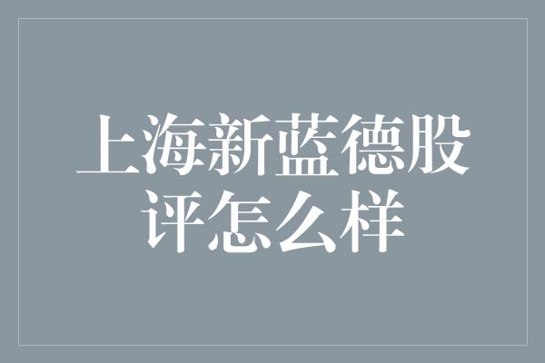 上海新蓝德股评怎么样