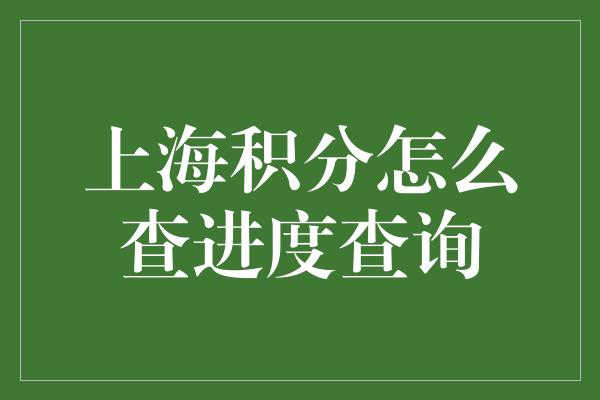 上海积分怎么查进度查询