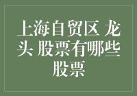 上海自贸区龙头股有哪些？揭秘你的投资机会！