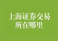 上海证券交易所在哪里？——它在上海的光合作用中心