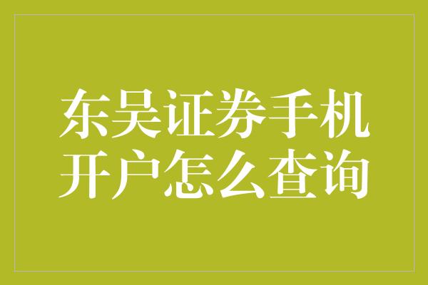 东吴证券手机开户怎么查询