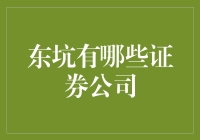 揭秘东坑证券市场：哪些公司在引领潮流？