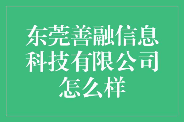 东莞善融信息科技有限公司怎么样