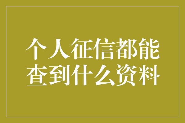 个人征信都能查到什么资料