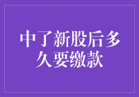 新股缴款：中签后的法律责任与合理时间选择