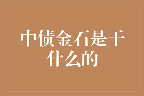 中债金石是干什么的