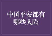 中国平安人寿保险产品概览与解析