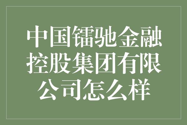 中国镭驰金融控股集团有限公司怎么样