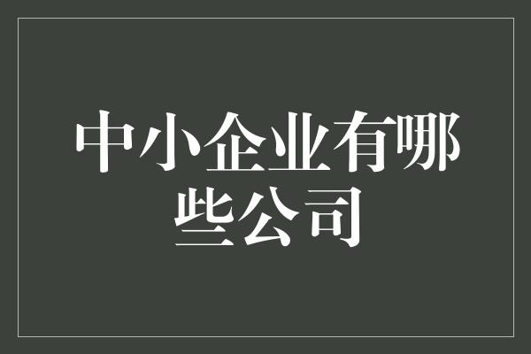 中小企业有哪些公司