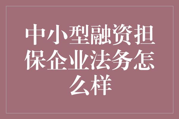 中小型融资担保企业法务怎么样