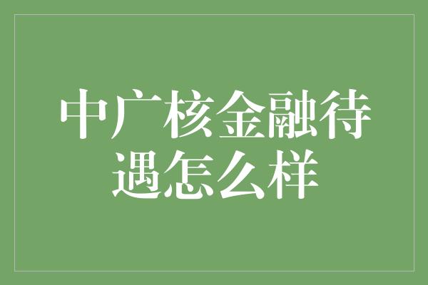 中广核金融待遇怎么样