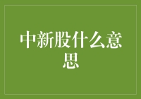 股票市场中的新股申购：投资者的盛宴与挑战