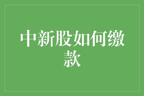 中新股如何缴款