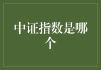 中证指数：股市中的神秘组织？揭秘中证指数的真面目