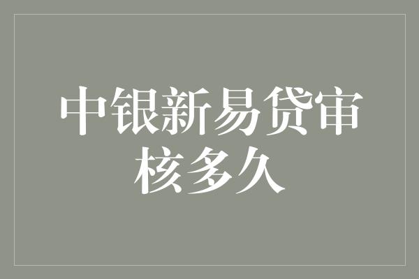 中银新易贷审核多久