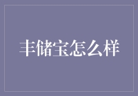 丰储宝：一份稳健理财选择的深度解析