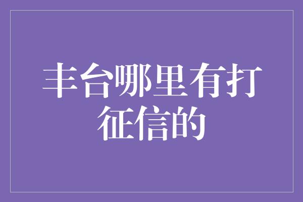 丰台哪里有打征信的