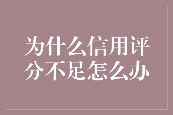 为什么信用评分不足怎么办