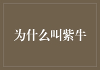 为什么在众多牛中，紫牛独占鳌头：探索其商业价值与文化意义