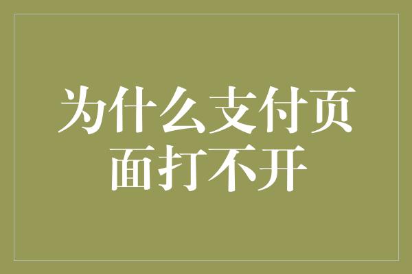 为什么支付页面打不开