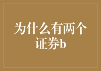 为什么证券市场会出现两个证券B：现象剖析与原因探讨