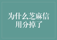 为什么我的芝麻信用分突然变成了自由散人？