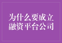 为什么成立融资平台公司——连接中小企业与资本市场的桥梁