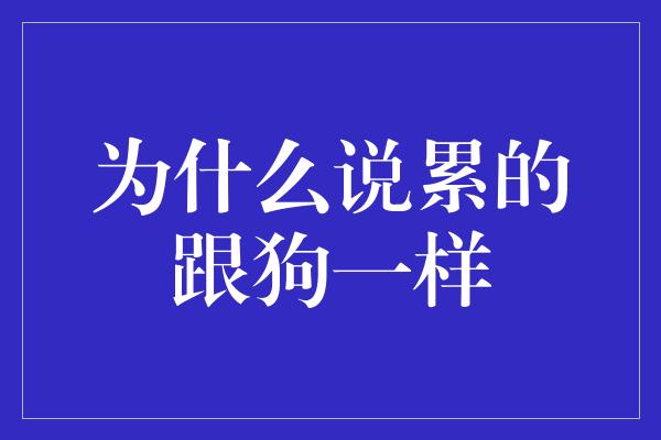 为什么说累的跟狗一样