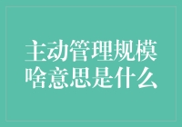 主动管理规模：揭示投资策略中的权衡之道