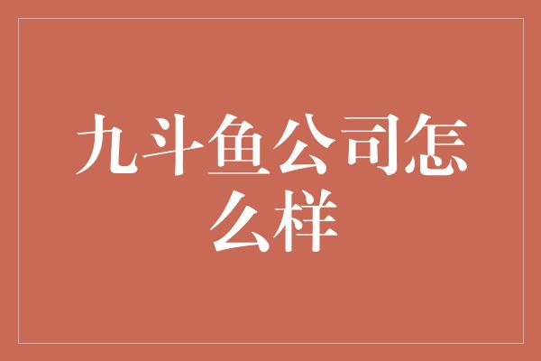 九斗鱼公司怎么样