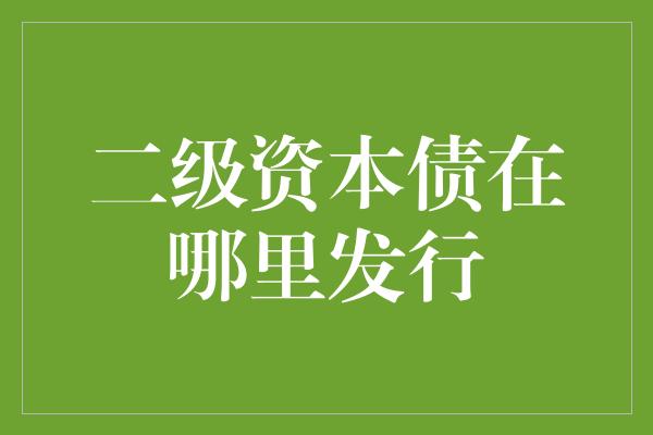 二级资本债在哪里发行