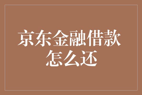 京东金融借款 怎么还