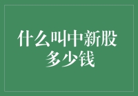 新股申购入门指南：什么叫中新股？中签后需要多少钱？